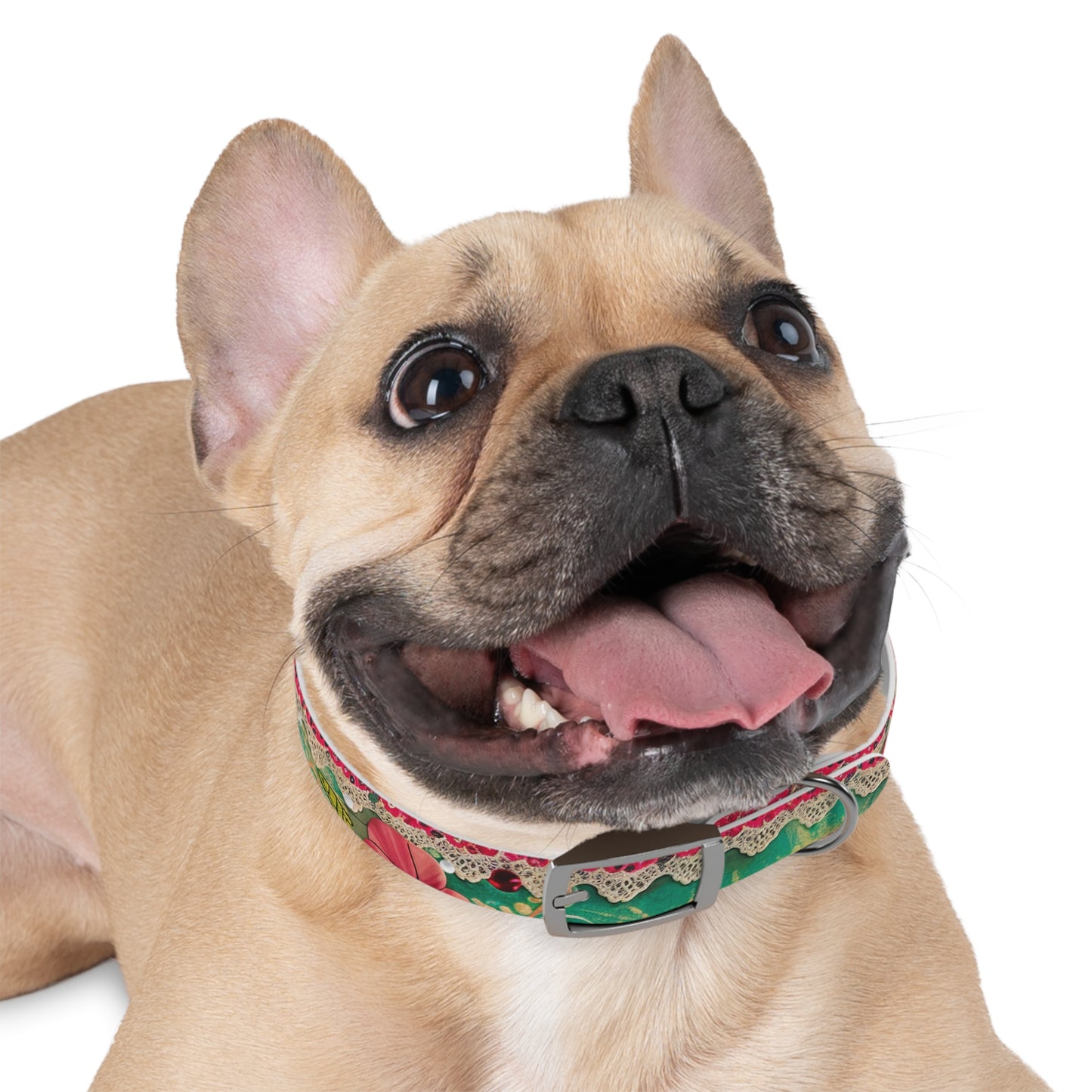 Cordon Dog Collar