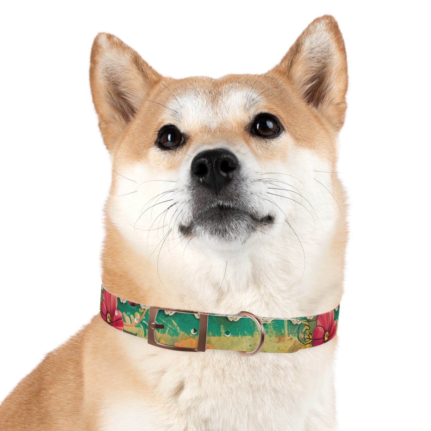 Cordon Dog Collar