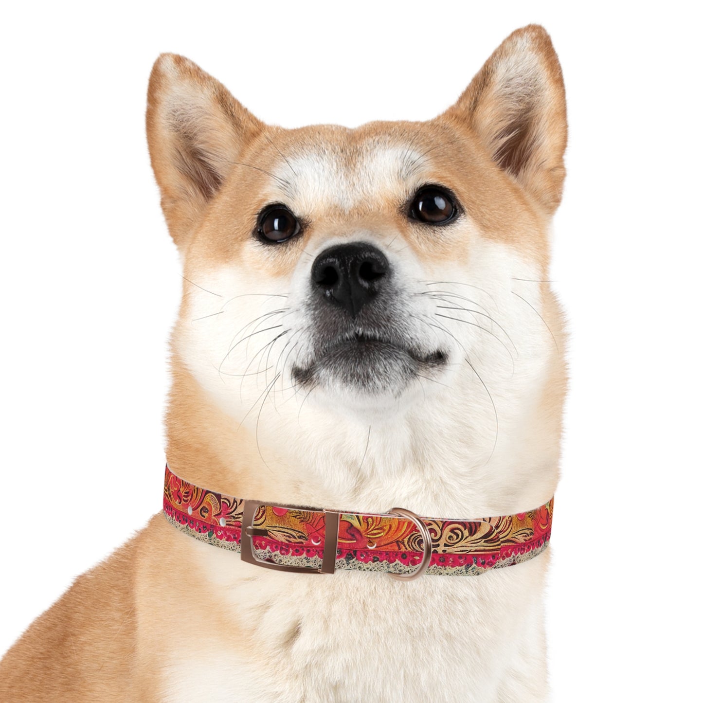 Cordon Dog Collar