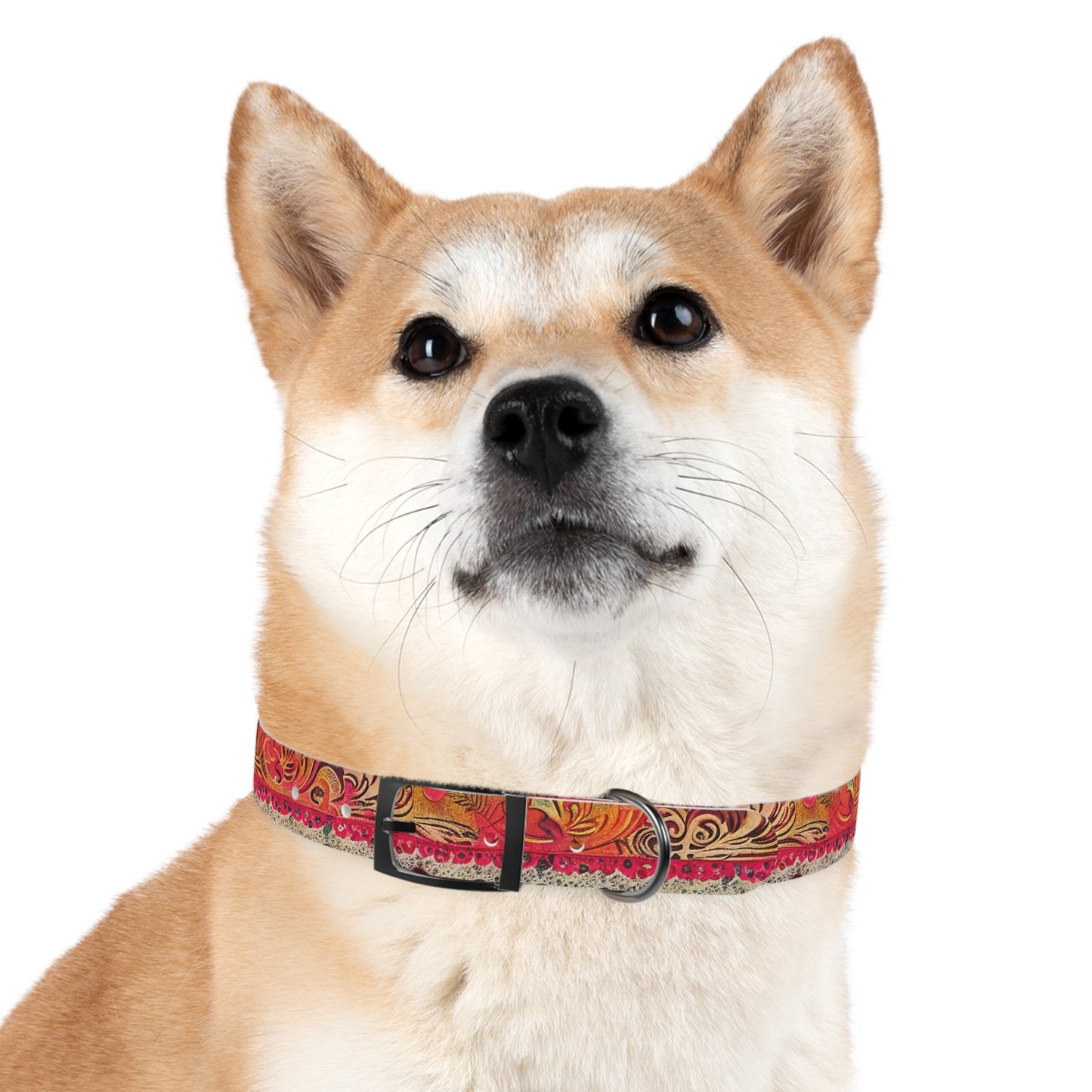 Cordon Dog Collar