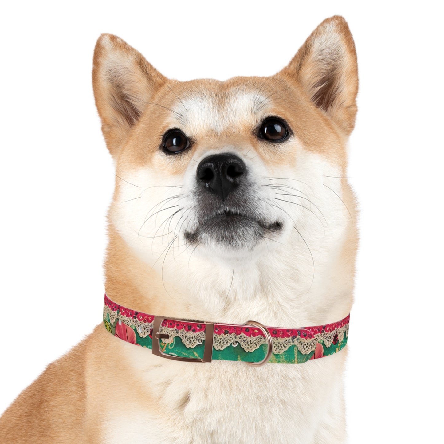 Cordon Dog Collar