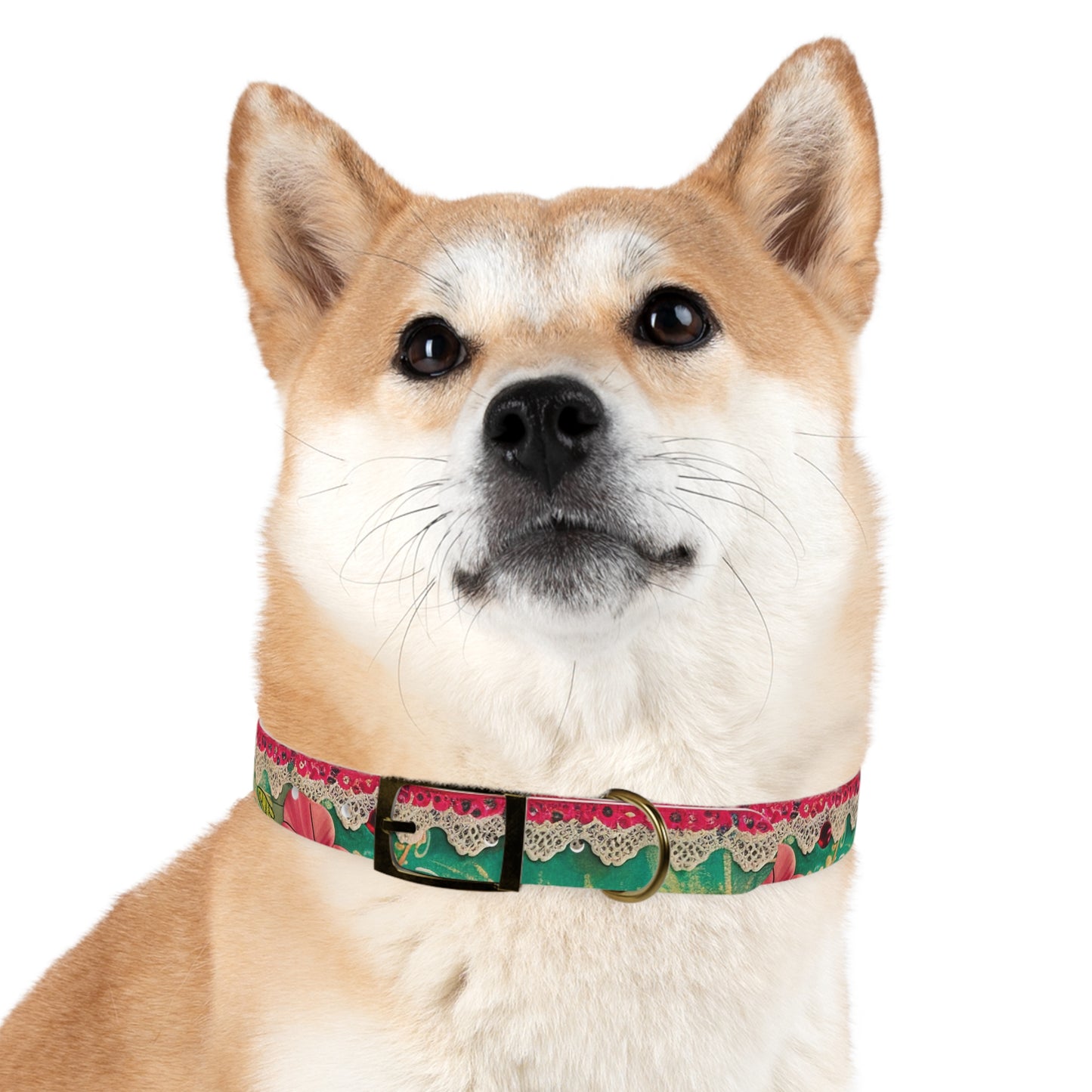 Cordon Dog Collar