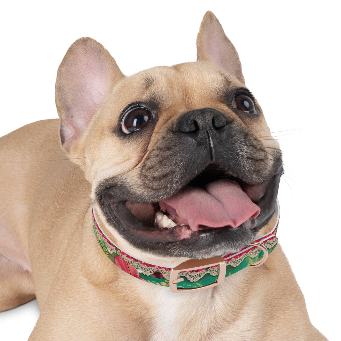 Cordon Dog Collar