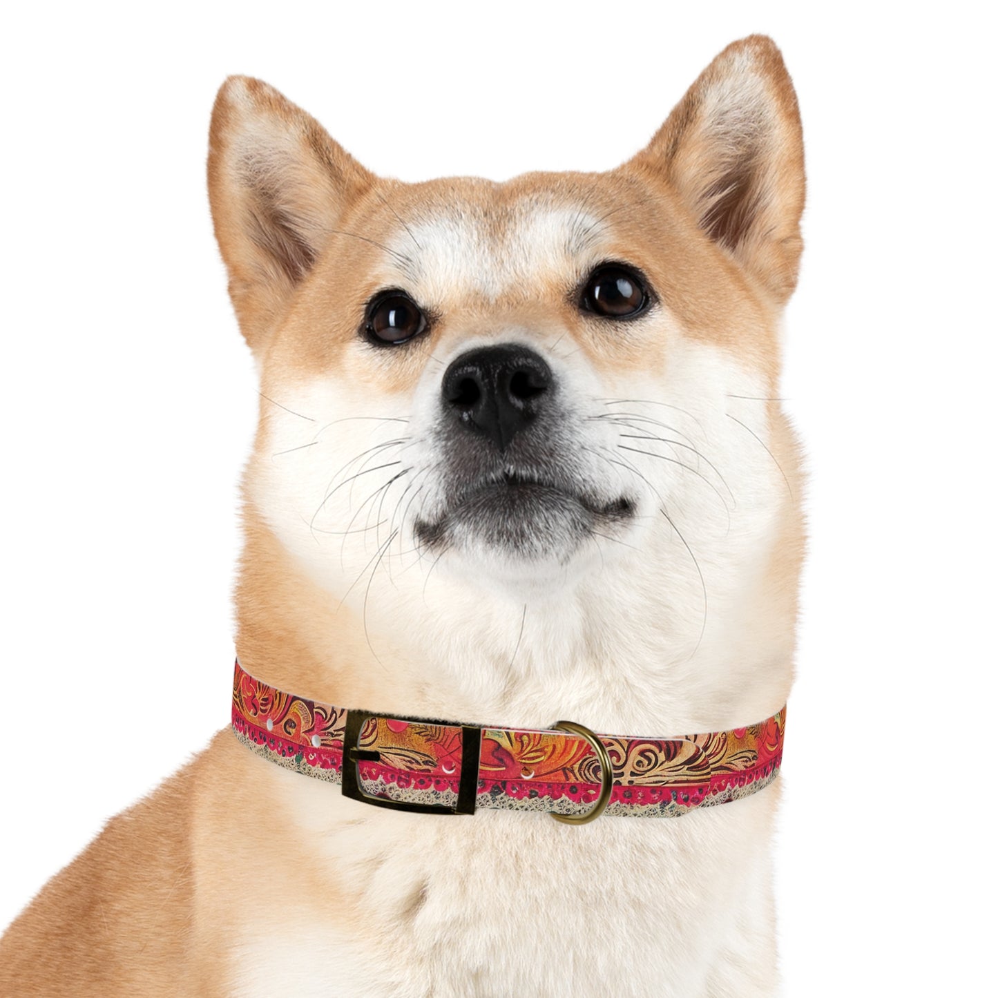 Cordon Dog Collar